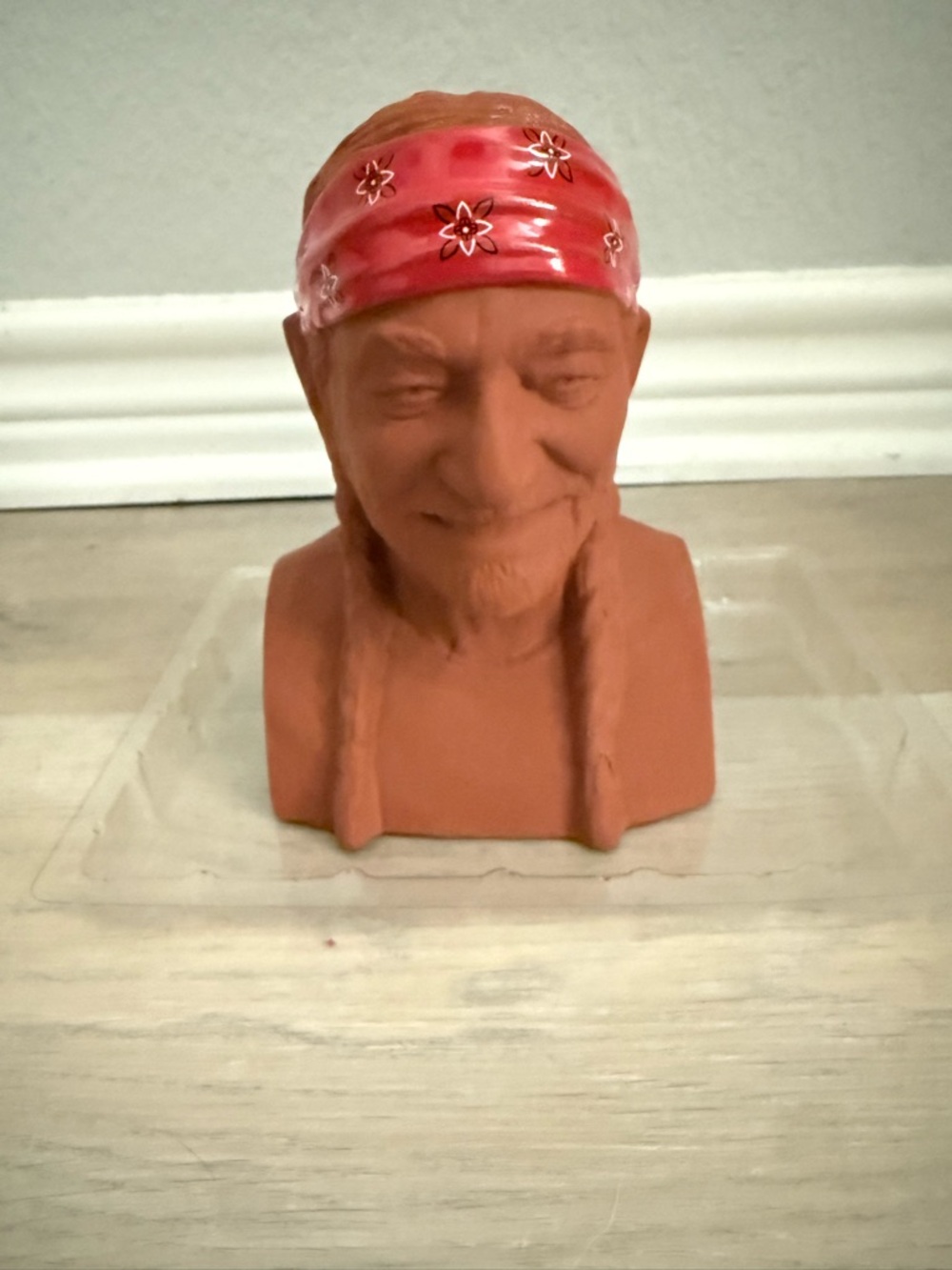 Willy Nelson Terracotta Bust Chia Pet